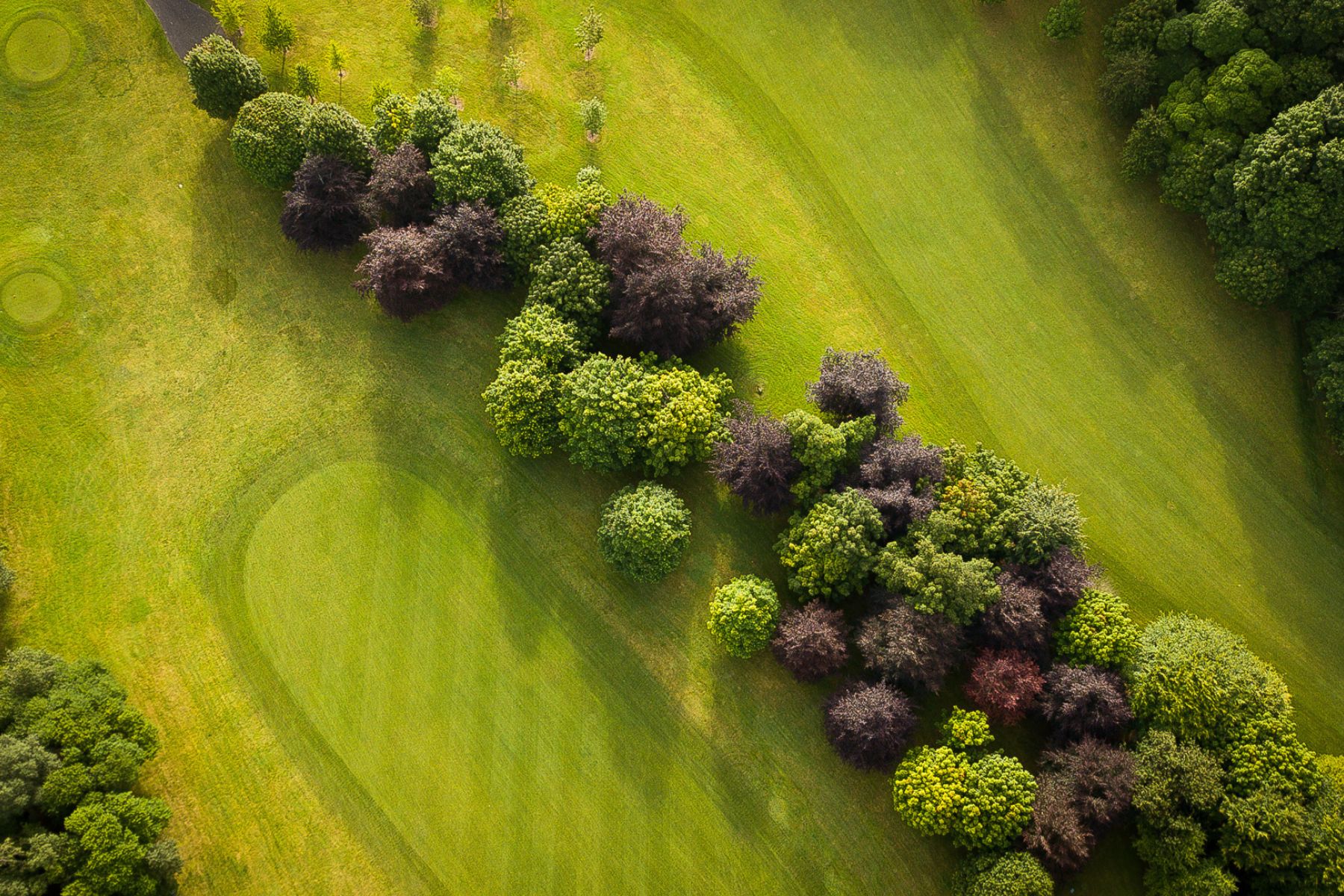 Golf Course